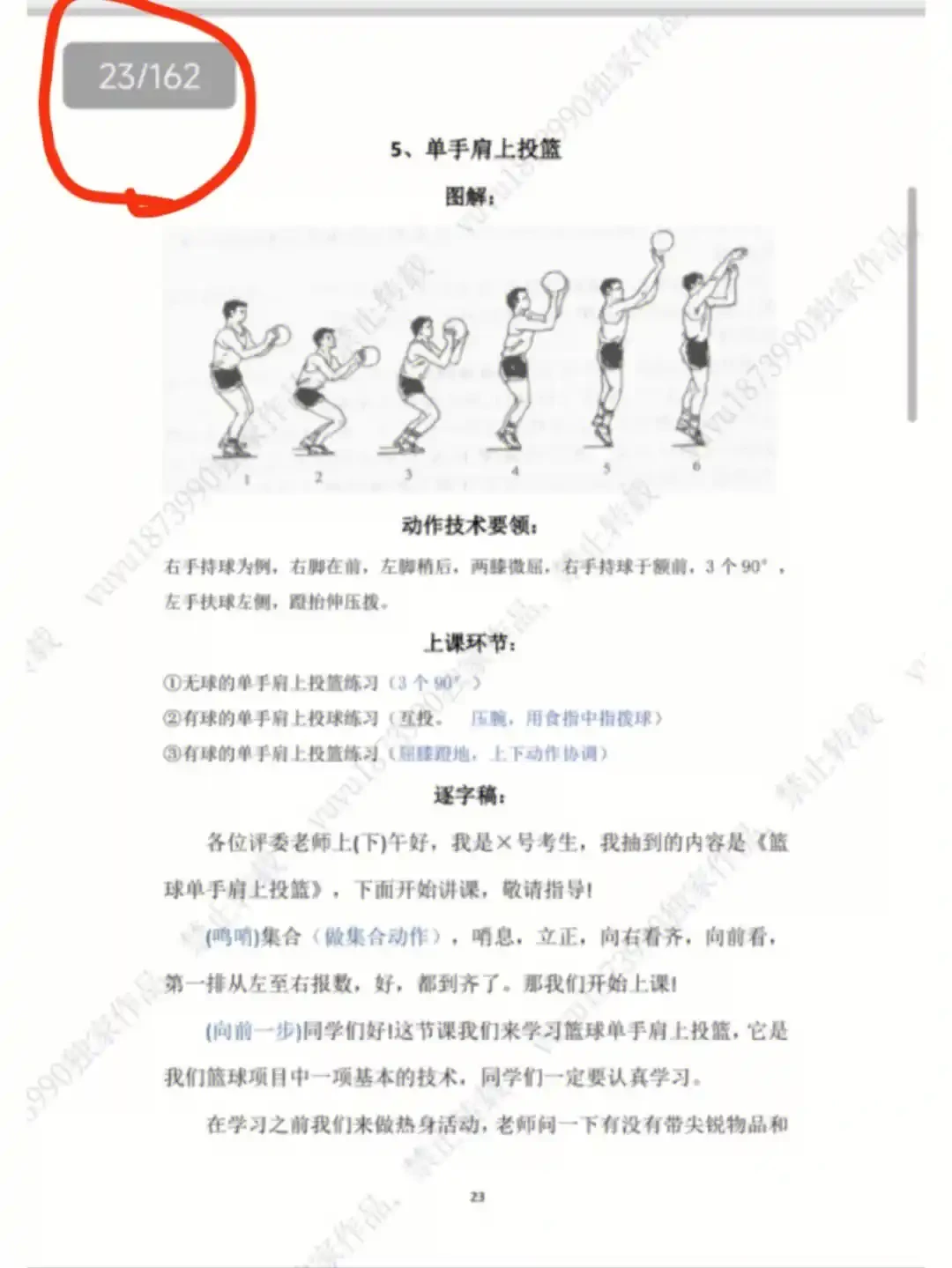 如何借助专业篮球教练提升个人声誉_1